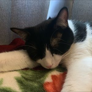 Meet your Posher, Michael